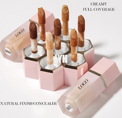 8 ml de produits de soin de la peau OEM neutre sans logo 10 couleur fondation de tache liquide