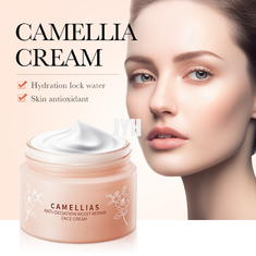 Produits de soins de la peau OEM sans parfum
