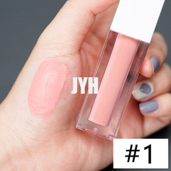 3g rouge à lèvres durable Matte Lipstick Red Pink imperméable