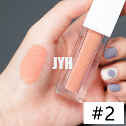 3g rouge à lèvres durable Matte Lipstick Red Pink imperméable