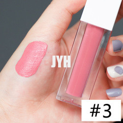 3g rouge à lèvres durable Matte Lipstick Red Pink imperméable