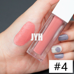 3g rouge à lèvres durable Matte Lipstick Red Pink imperméable