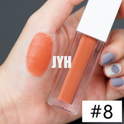 3g rouge à lèvres durable Matte Lipstick Red Pink imperméable