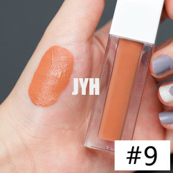3g rouge à lèvres durable Matte Lipstick Red Pink imperméable