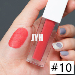 3g rouge à lèvres durable Matte Lipstick Red Pink imperméable
