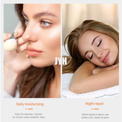 Traitement brillant nourrissant de hydrater doux naturel de Vegan de baume à lèvres de marque de distributeur d'OEM