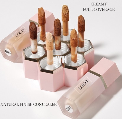 8 ml de produits de soin de la peau OEM neutre sans logo 10 couleur fondation de tache liquide